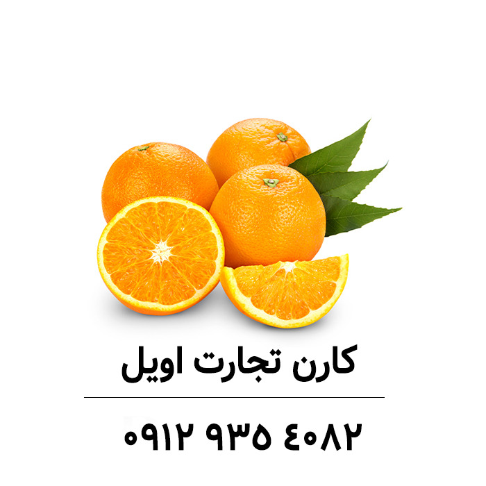 فروش اسانس خوراکی زرد الو پودری برند ارومسا و اسانس خوراکی هلو پودری برند دهلر